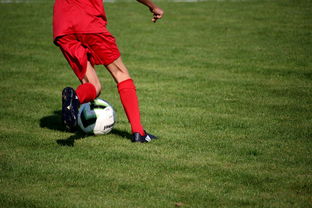 中国足球是否应该建立球员行为规范体系，中国足球规划球员政策