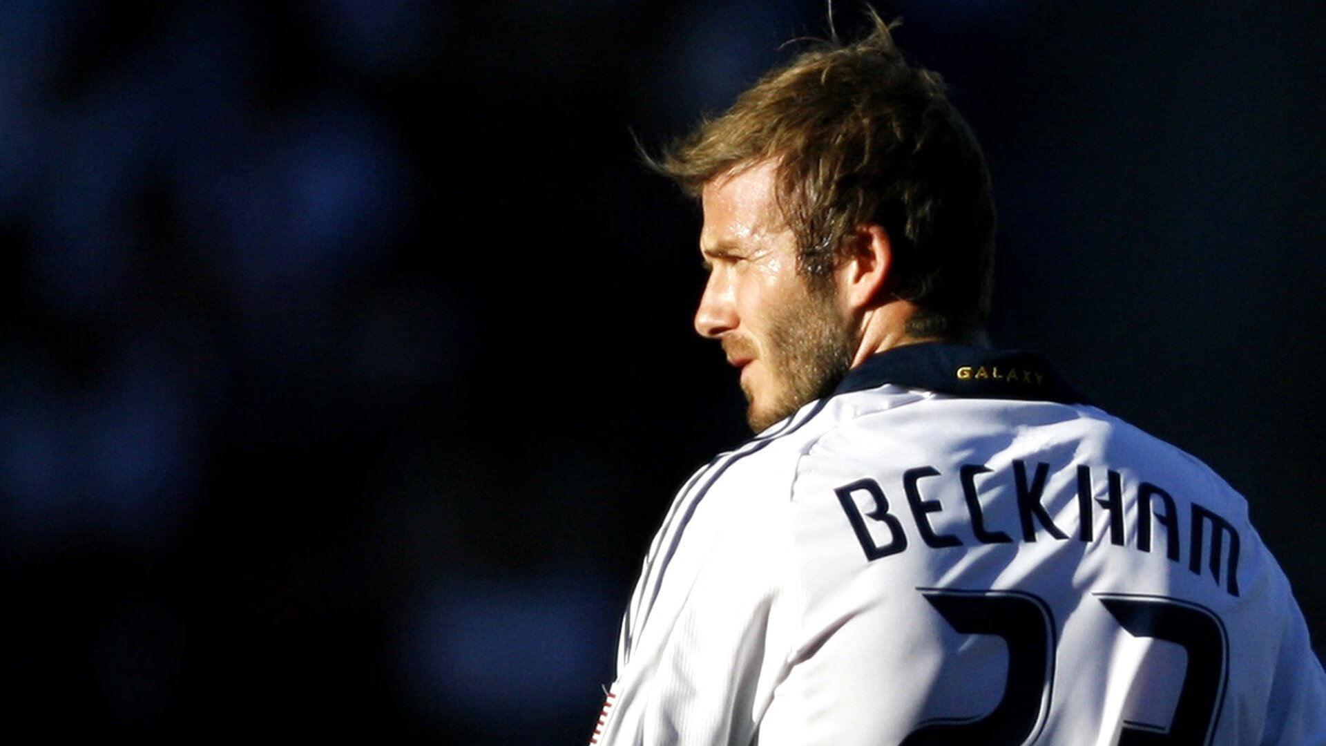 体育新闻中心打造运动社区知识服务内容传播渠道，社区体育宣传标语